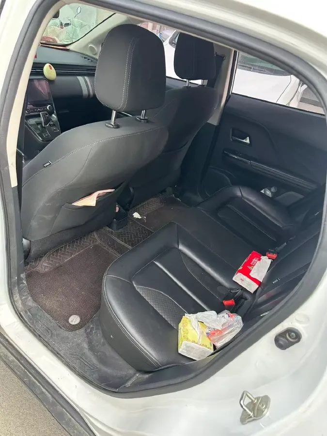 2019 Ora iQ BEV 47KWH,autocango,china used car exporter,china ev exporter,chinese used car exporter,chinese used ev exporter