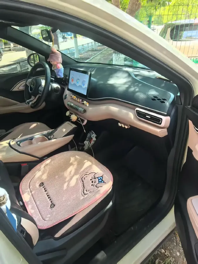 2024 BYD Seagull BEV 30.08KWH,autocango,china used car exporter,china ev exporter,chinese used car exporter,chinese used ev exporter
