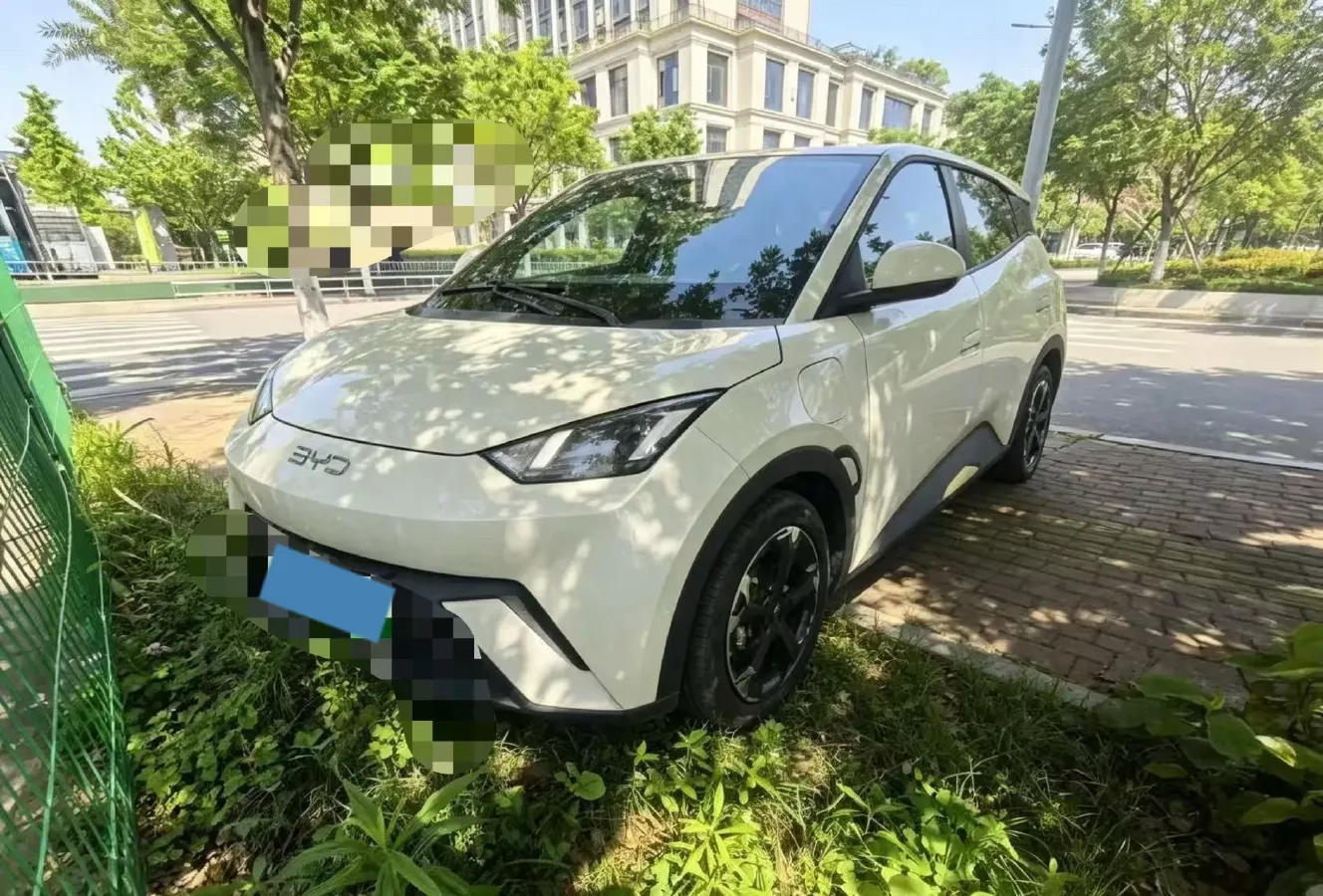 2024 BYD Seagull BEV 30.08KWH,autocango,china used car exporter,china ev exporter,chinese used car exporter,chinese used ev exporter