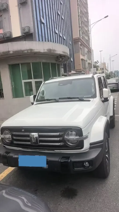 2024 Tank 300 2.0T 252HP L4 9AT,autocango,china used car exporter,china ev exporter,chinese used car exporter,chinese used ev exporter