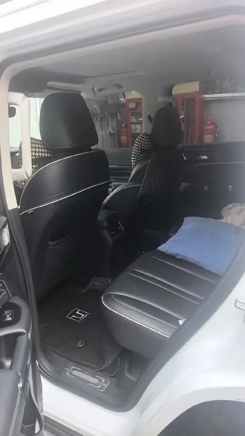 2024 Tank 300 2.0T 252HP L4 9AT,autocango,china used car exporter,china ev exporter,chinese used car exporter,chinese used ev exporter
