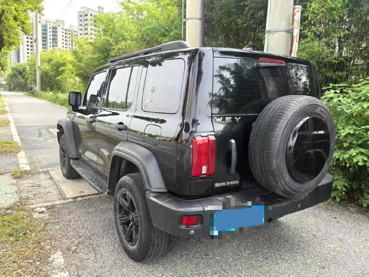 2021 Tank 300 2.0T 227HP L4 8AT,autocango,china used car exporter,china ev exporter,chinese used car exporter,chinese used ev exporter