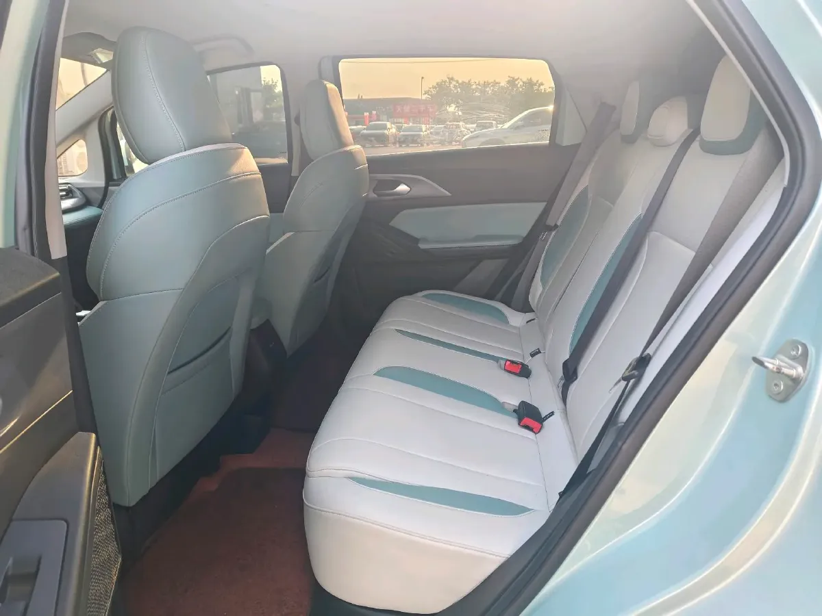 2024 Geometry E BEV 29.67KWH,autocango,china used car exporter,china ev exporter,chinese used car exporter,chinese used ev exporter