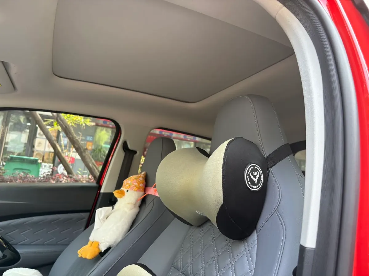 2021 Leapmotor T03 BEV 38KWH,autocango,china used car exporter,china ev exporter,chinese used car exporter,chinese used ev exporter