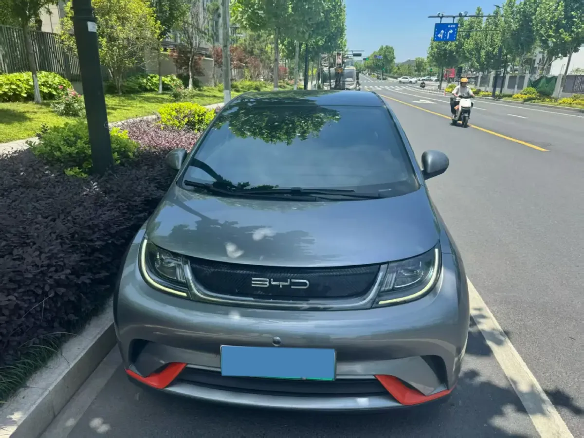 2023 BYD Dolphin BEV 44.928KWH,autocango,china used car exporter,china ev exporter,chinese used car exporter,chinese used ev exporter