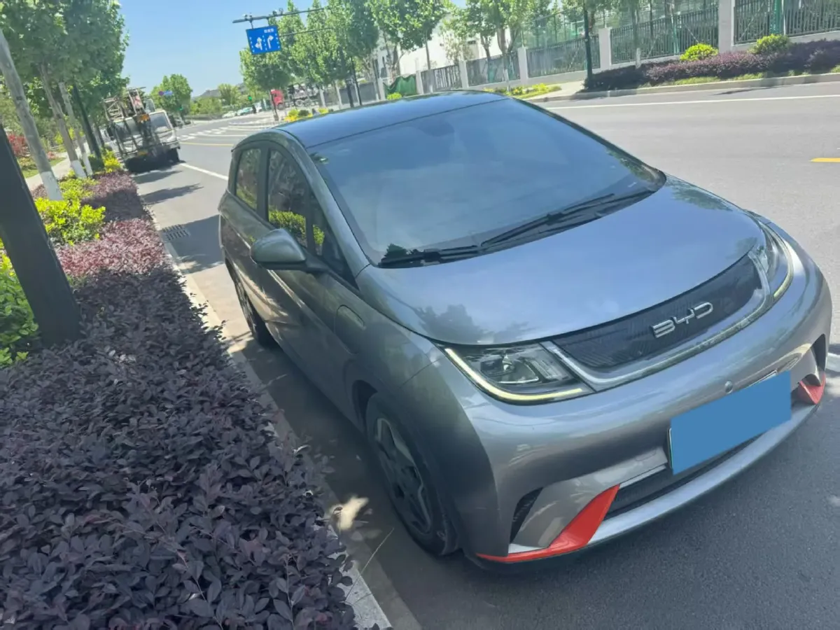 2023 BYD Dolphin BEV 44.928KWH,autocango,china used car exporter,china ev exporter,chinese used car exporter,chinese used ev exporter