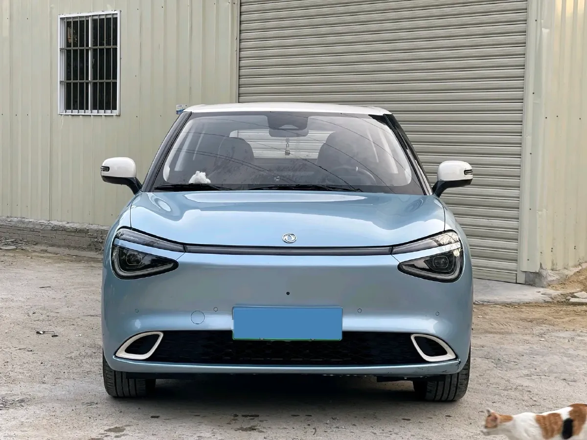 2024 DongFeng Nammi 01 BEV 42.3KWH,autocango,china used car exporter,china ev exporter,chinese used car exporter,chinese used ev exporter