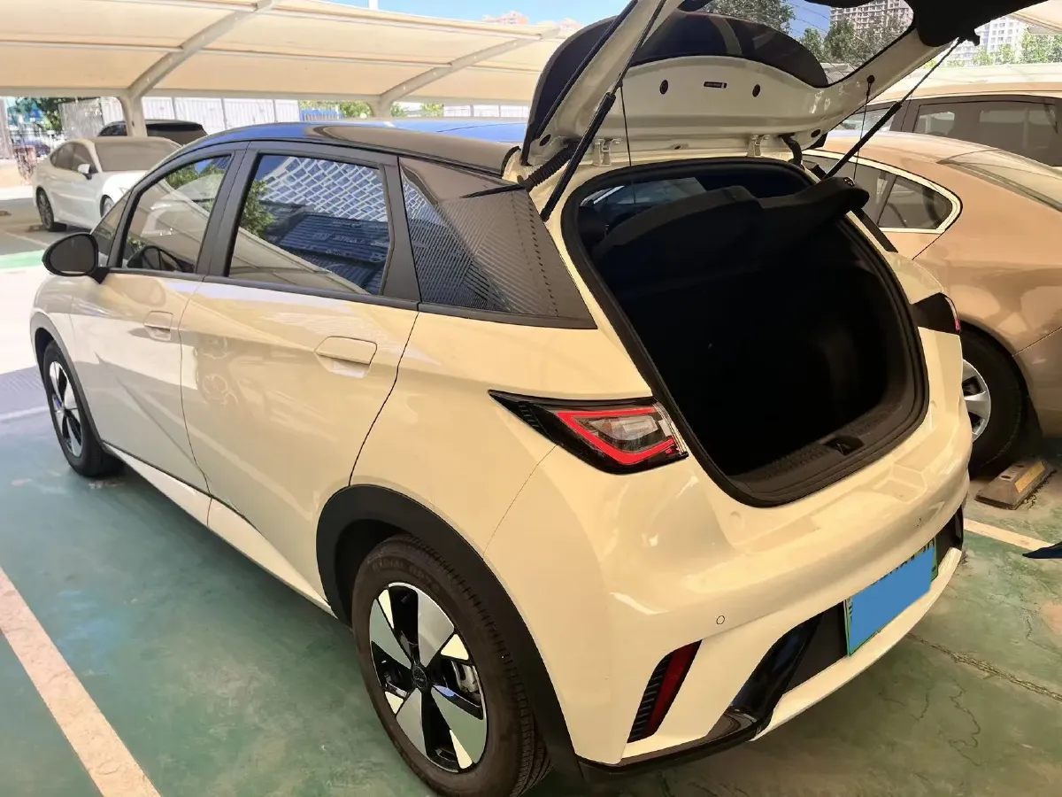2023 BYD Dolphin BEV 44.928KWH,autocango,china used car exporter,china ev exporter,chinese used car exporter,chinese used ev exporter