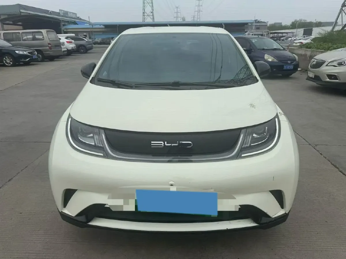 2023 BYD Dolphin BEV 44.928KWH,autocango,china used car exporter,china ev exporter,chinese used car exporter,chinese used ev exporter