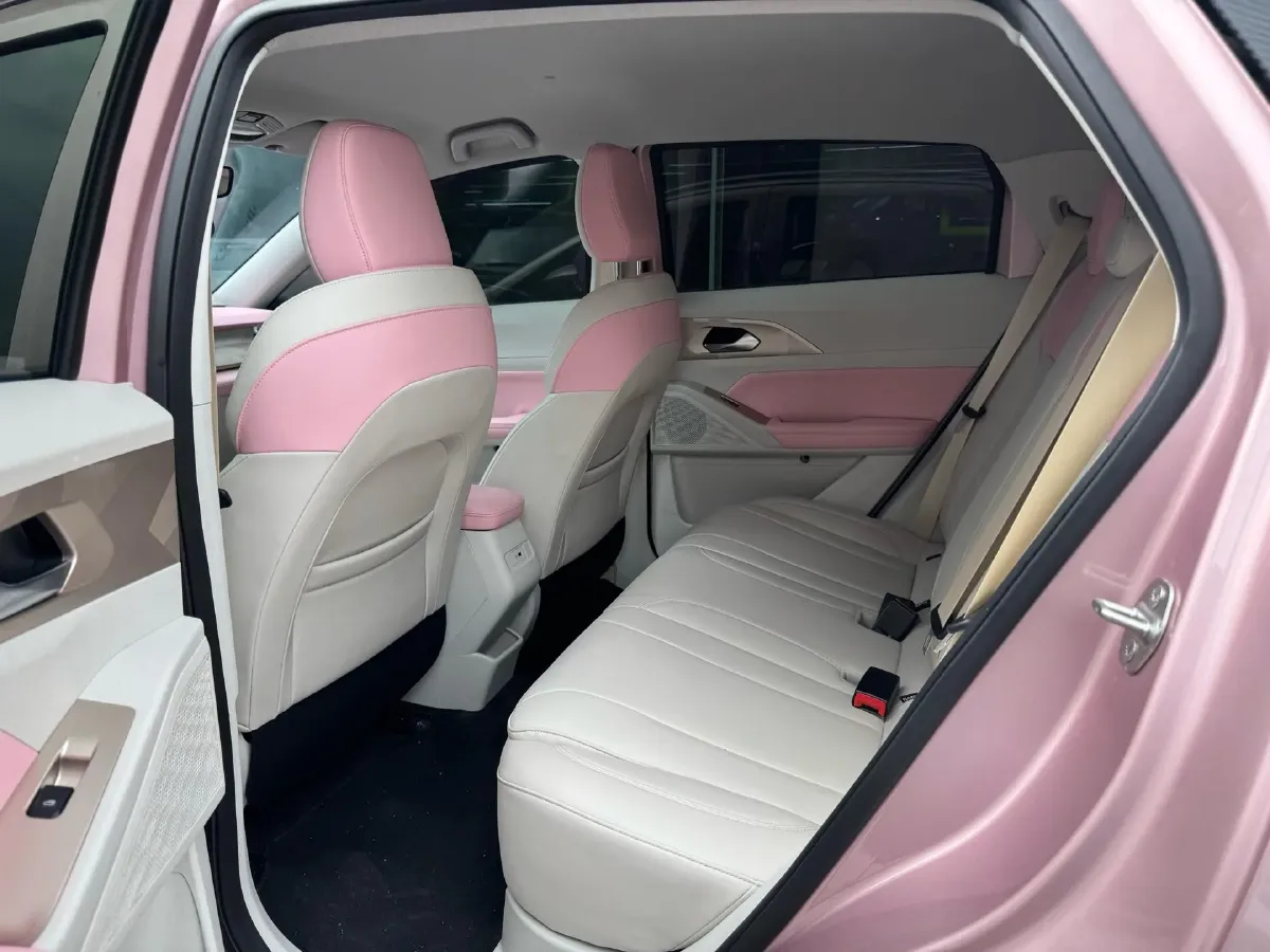 2024 Geometry E BEV 39.3KWH,autocango,china used car exporter,china ev exporter,chinese used car exporter,chinese used ev exporter