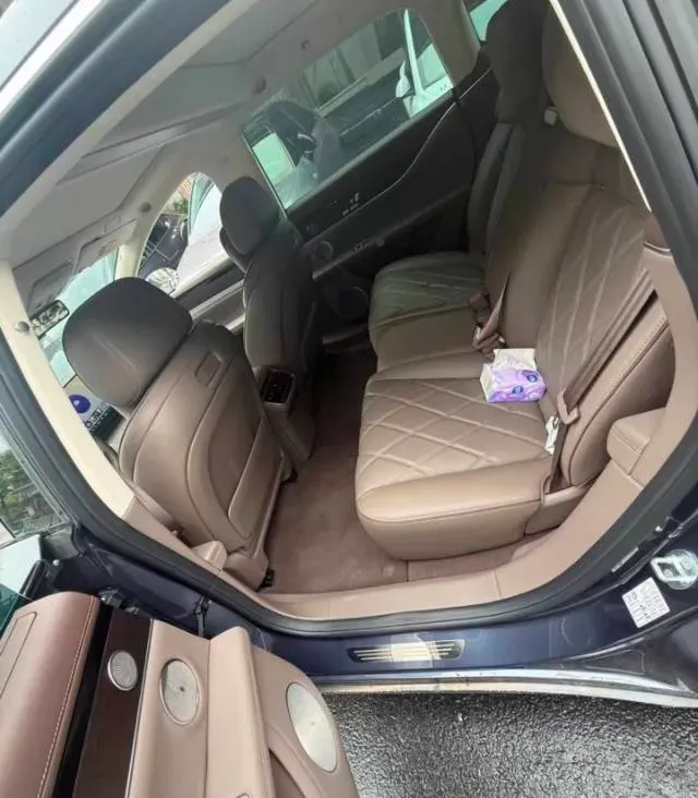 2025 HIMA Stelato S9 REEV 160HP REEV,autocango,china used car exporter,china ev exporter,chinese used car exporter,chinese used ev exporter