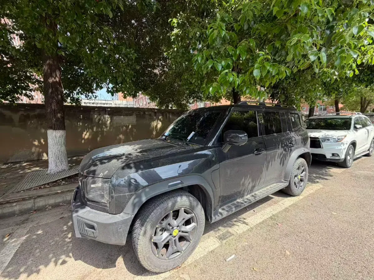 2023 Jetour Traveller 2.0T 254HP L4 7DCT,autocango,china used car exporter,china ev exporter,chinese used car exporter,chinese used ev exporter