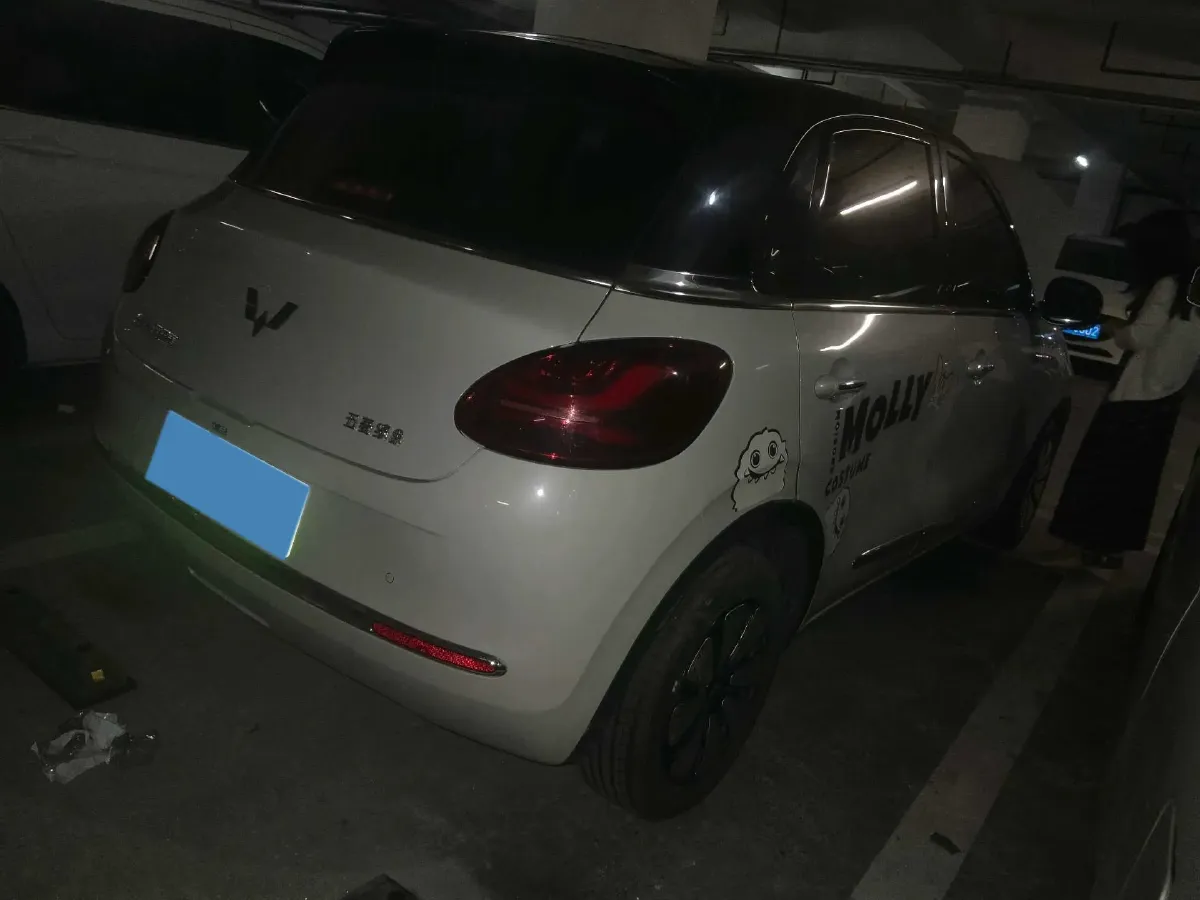 2023 WuLing BinGuo BEV 37.9KWH,autocango,china used car exporter,china ev exporter,chinese used car exporter,chinese used ev exporter