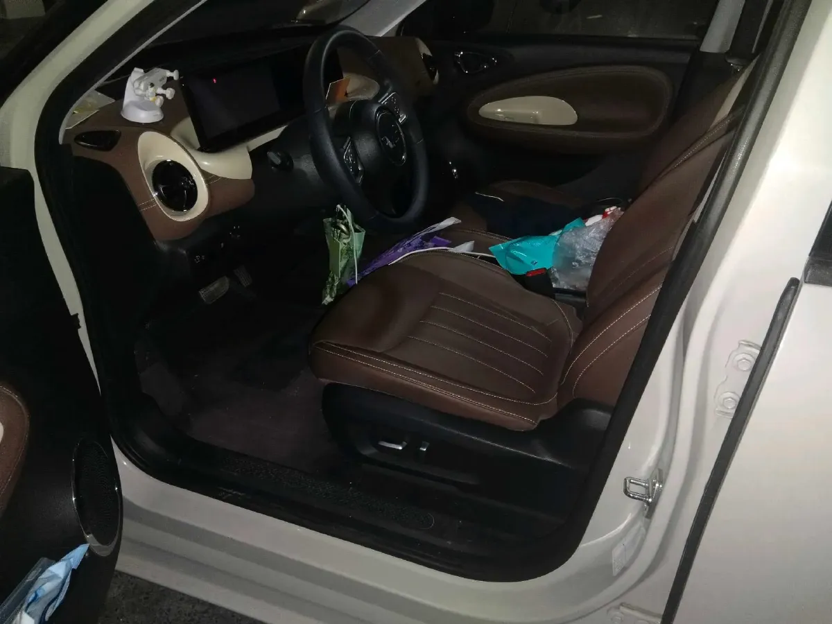 2023 WuLing BinGuo BEV 37.9KWH,autocango,china used car exporter,china ev exporter,chinese used car exporter,chinese used ev exporter