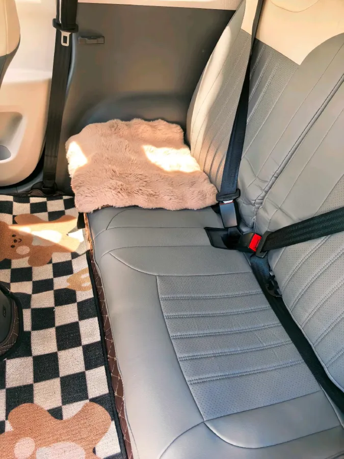 2023 ChangAn QiYuan Lumin BEV 17.65KWH,autocango,china used car exporter,china ev exporter,chinese used car exporter,chinese used ev exporter