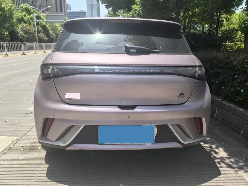 2023 BYD Dolphin BEV 44.928KWH,autocango,china used car exporter,china ev exporter,chinese used car exporter,chinese used ev exporter