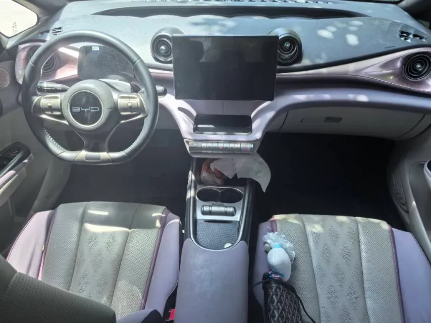 2023 BYD Dolphin BEV 44.928KWH,autocango,china used car exporter,china ev exporter,chinese used car exporter,chinese used ev exporter