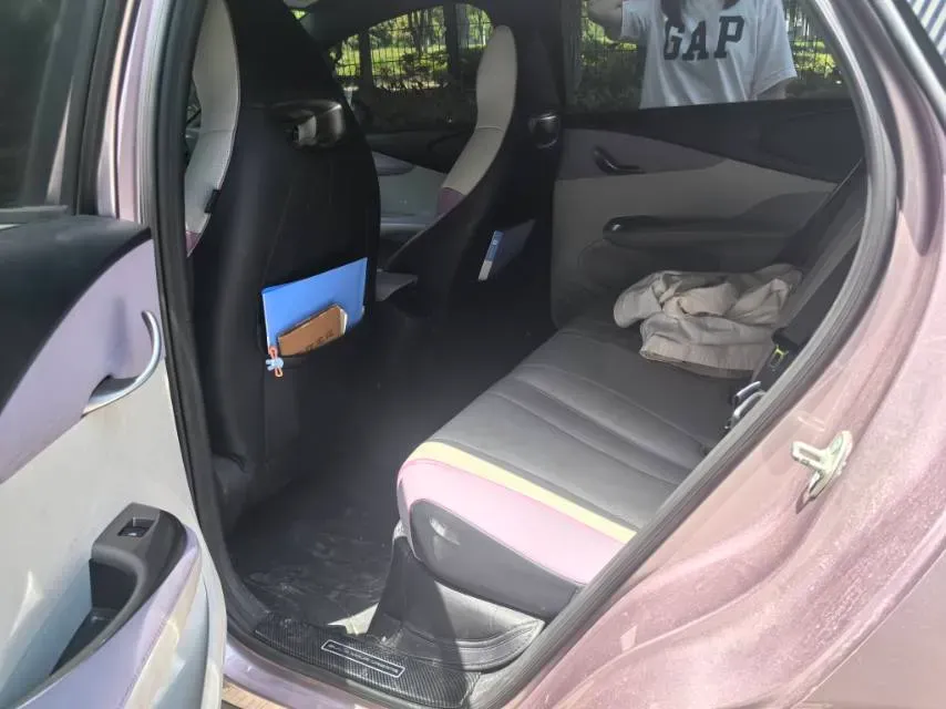 2023 BYD Dolphin BEV 44.928KWH,autocango,china used car exporter,china ev exporter,chinese used car exporter,chinese used ev exporter