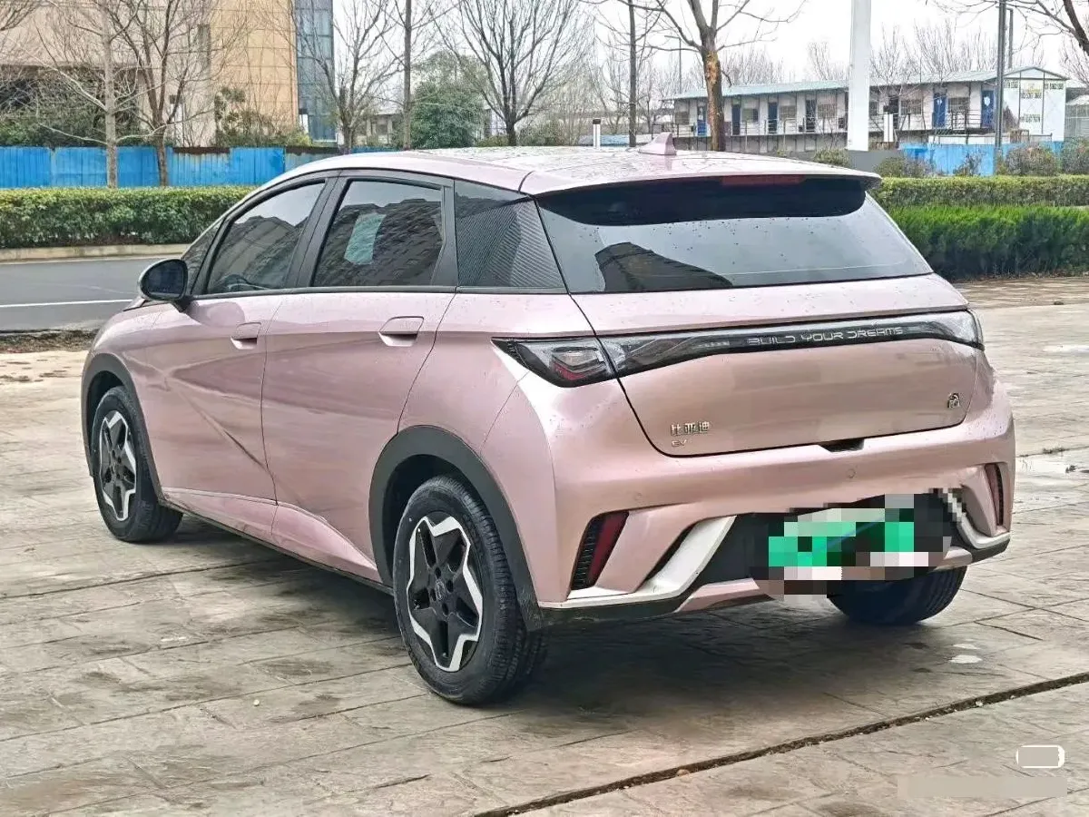 2023 BYD Dolphin BEV 44.928KWH,autocango,china used car exporter,china ev exporter,chinese used car exporter,chinese used ev exporter