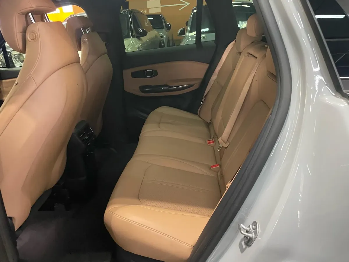 2020 Lexus NX 2.5L 155HP L4 E-CVT Hybrid,autocango,china used car exporter,china ev exporter,chinese used car exporter,chinese used ev exporter