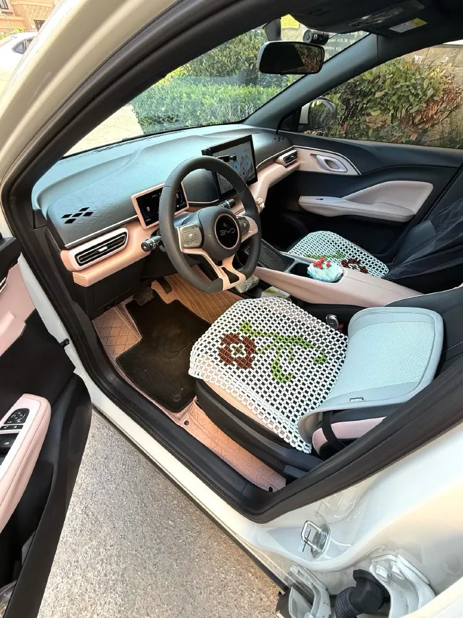 2025 BYD Seagull BEV 30.08KWH,autocango,china used car exporter,china ev exporter,chinese used car exporter,chinese used ev exporter