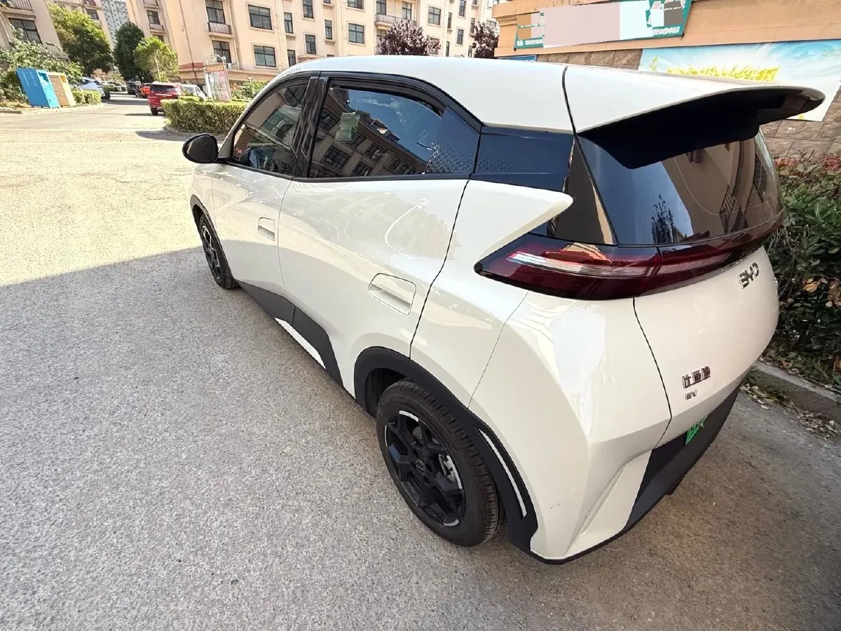 2025 BYD Seagull BEV 30.08KWH,autocango,china used car exporter,china ev exporter,chinese used car exporter,chinese used ev exporter