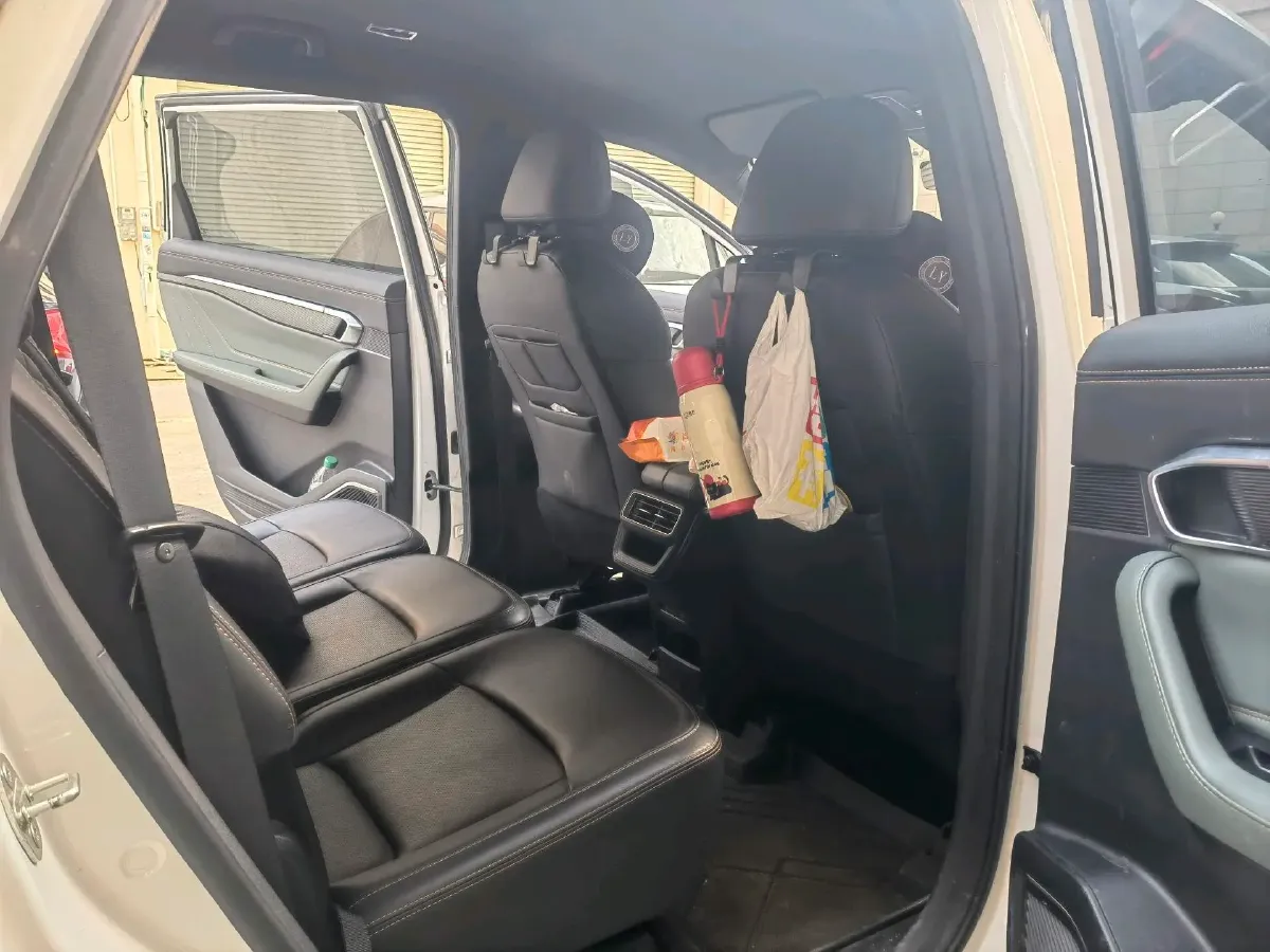 2023 Geely Okavango L 2.0T 218HP L4 7DCT,autocango,china used car exporter,china ev exporter,chinese used car exporter,chinese used ev exporter