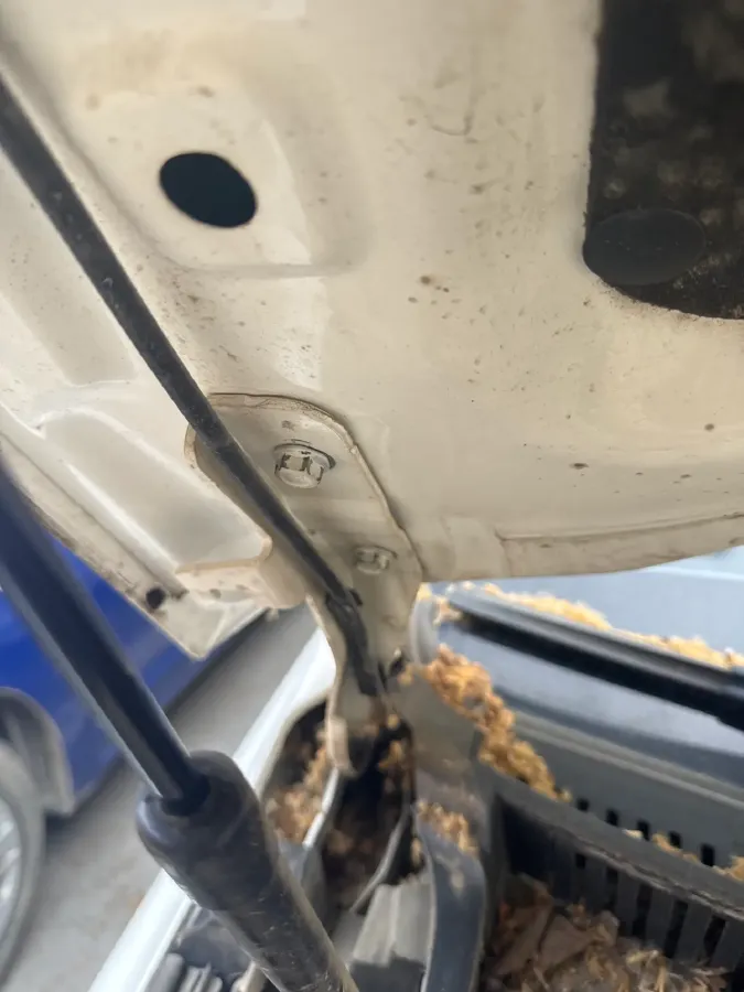 2019 BYD Song MAX 1.5T 160HP L4 6DCT,autocango,china used car exporter,china ev exporter,chinese used car exporter,chinese used ev exporter