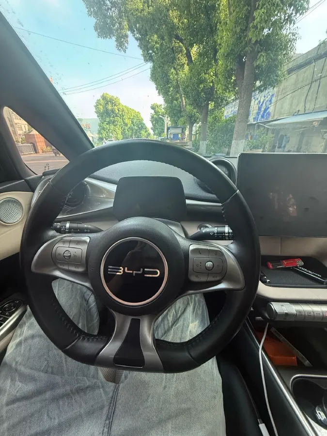 2023 BYD Dolphin BEV 44.928KWH,autocango,china used car exporter,china ev exporter,chinese used car exporter,chinese used ev exporter