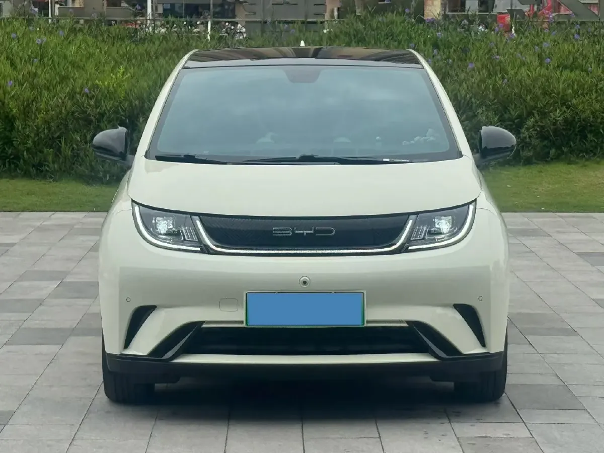 2023 BYD Dolphin BEV 44.928KWH,autocango,china used car exporter,china ev exporter,chinese used car exporter,chinese used ev exporter