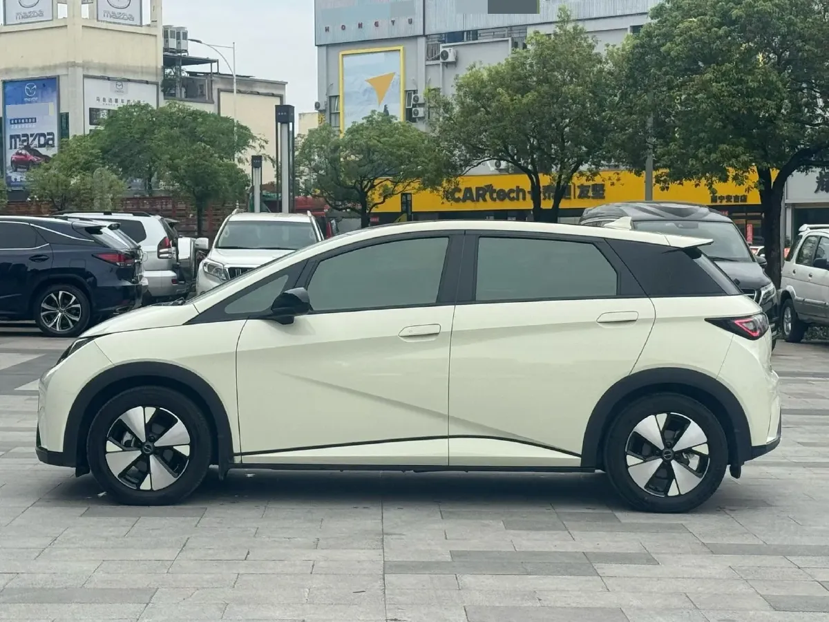 2023 BYD Dolphin BEV 44.928KWH,autocango,china used car exporter,china ev exporter,chinese used car exporter,chinese used ev exporter