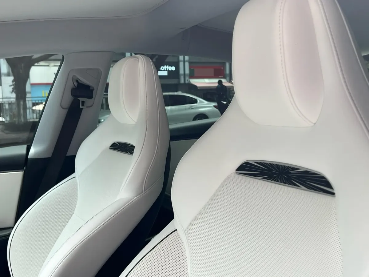 2025 Tesla Model 3 BEV,autocango,china used car exporter,china ev exporter,chinese used car exporter,chinese used ev exporter