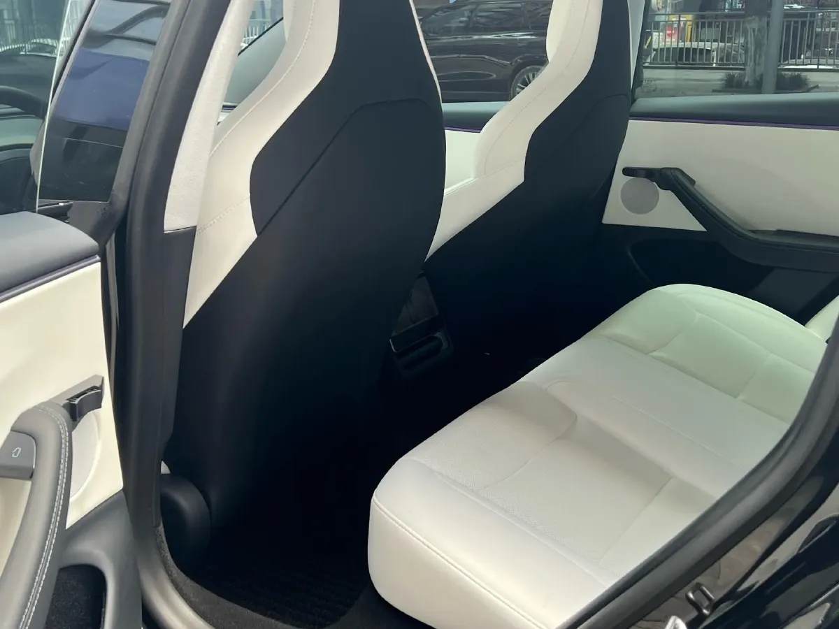 2025 Tesla Model 3 BEV,autocango,china used car exporter,china ev exporter,chinese used car exporter,chinese used ev exporter
