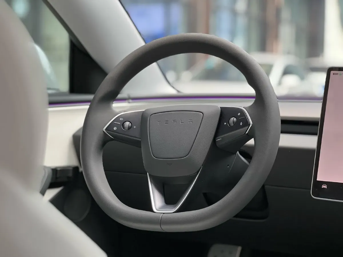 2025 Tesla Model 3 BEV,autocango,china used car exporter,china ev exporter,chinese used car exporter,chinese used ev exporter