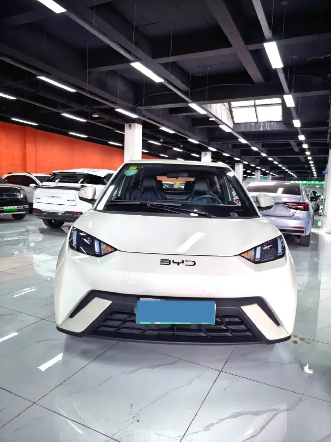 2024 BYD Seagull BEV 38.88KWH,autocango,china used car exporter,china ev exporter,chinese used car exporter,chinese used ev exporter