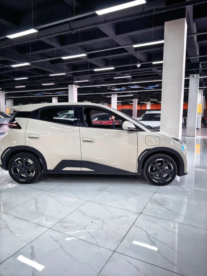 2024 BYD Seagull BEV 38.88KWH,autocango,china used car exporter,china ev exporter,chinese used car exporter,chinese used ev exporter