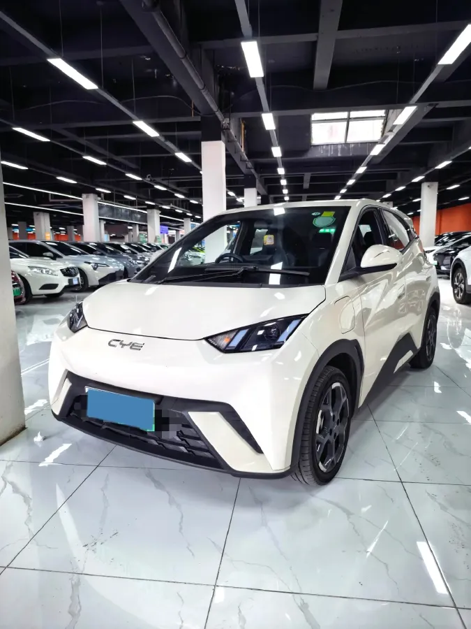 2024 BYD Seagull BEV 38.88KWH,autocango,china used car exporter,china ev exporter,chinese used car exporter,chinese used ev exporter