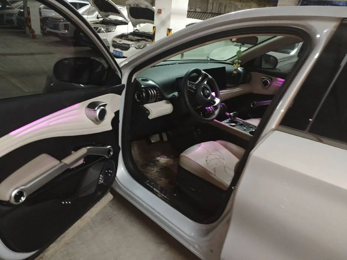 2024 BYD Yuan Plus BEV 49.92KWH,autocango,china used car exporter,china ev exporter,chinese used car exporter,chinese used ev exporter