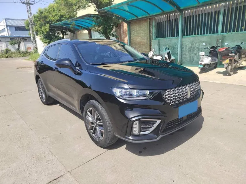 2021 WEY VV5 1.5T 171HP L4 7DCT,autocango,china used car exporter,china ev exporter,chinese used car exporter,chinese used ev exporter