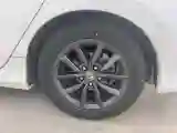 2019 Honda Civic 1.5T 177HP L4 CVT