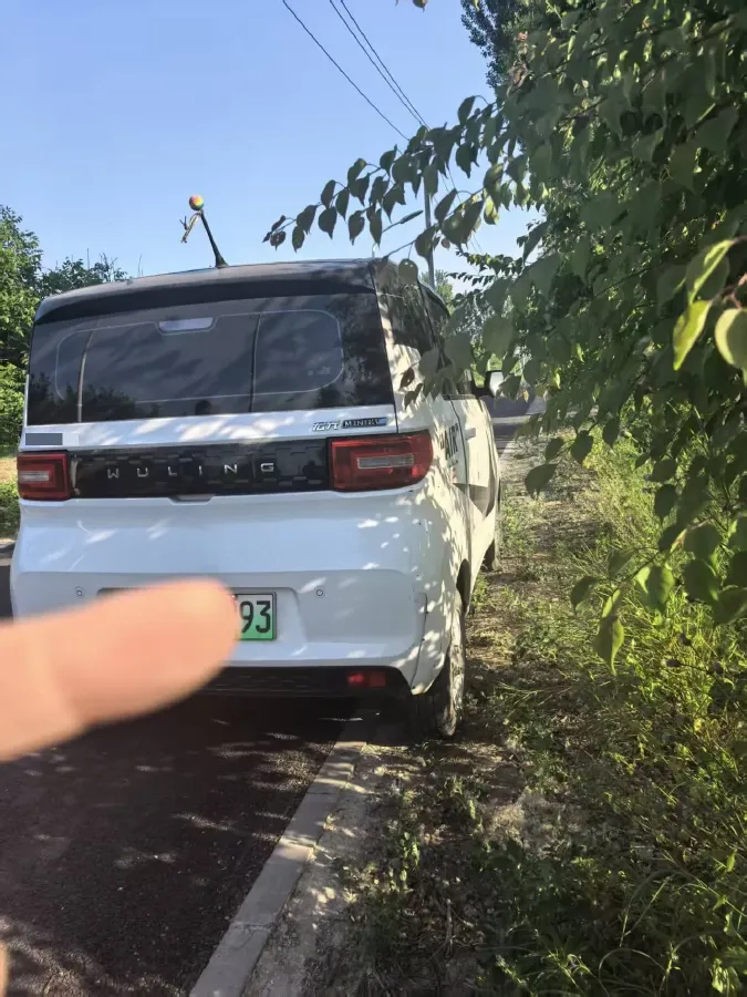2021 WuLing HongGuang MINI EV BEV 13.8KWH,autocango,china used car exporter,china ev exporter,chinese used car exporter,chinese used ev exporter