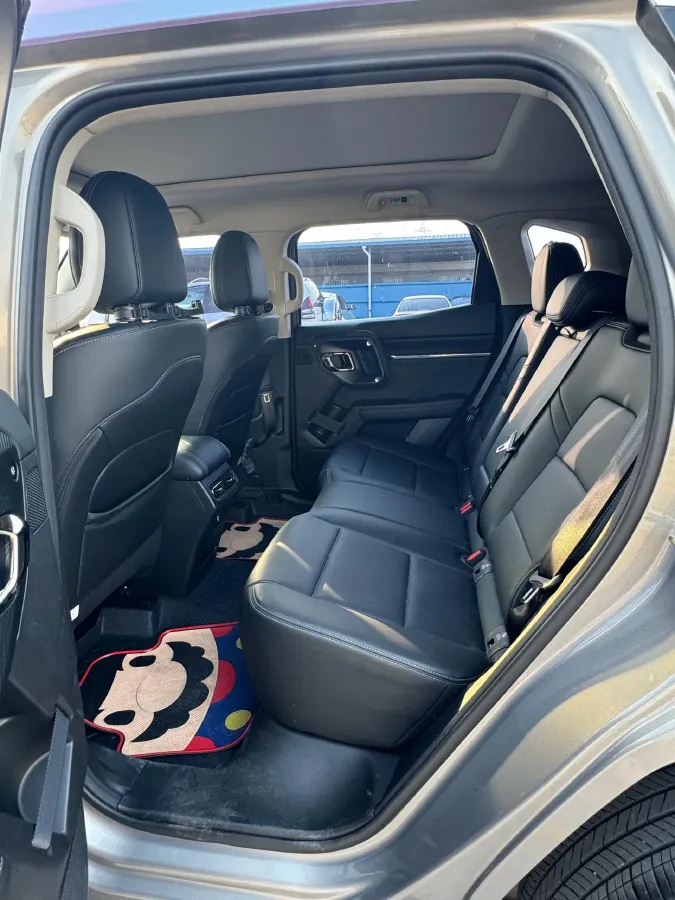 2023 Haval Dargo PLUS 2.0T 238HP L4 9DCT,autocango,china used car exporter,china ev exporter,chinese used car exporter,chinese used ev exporter