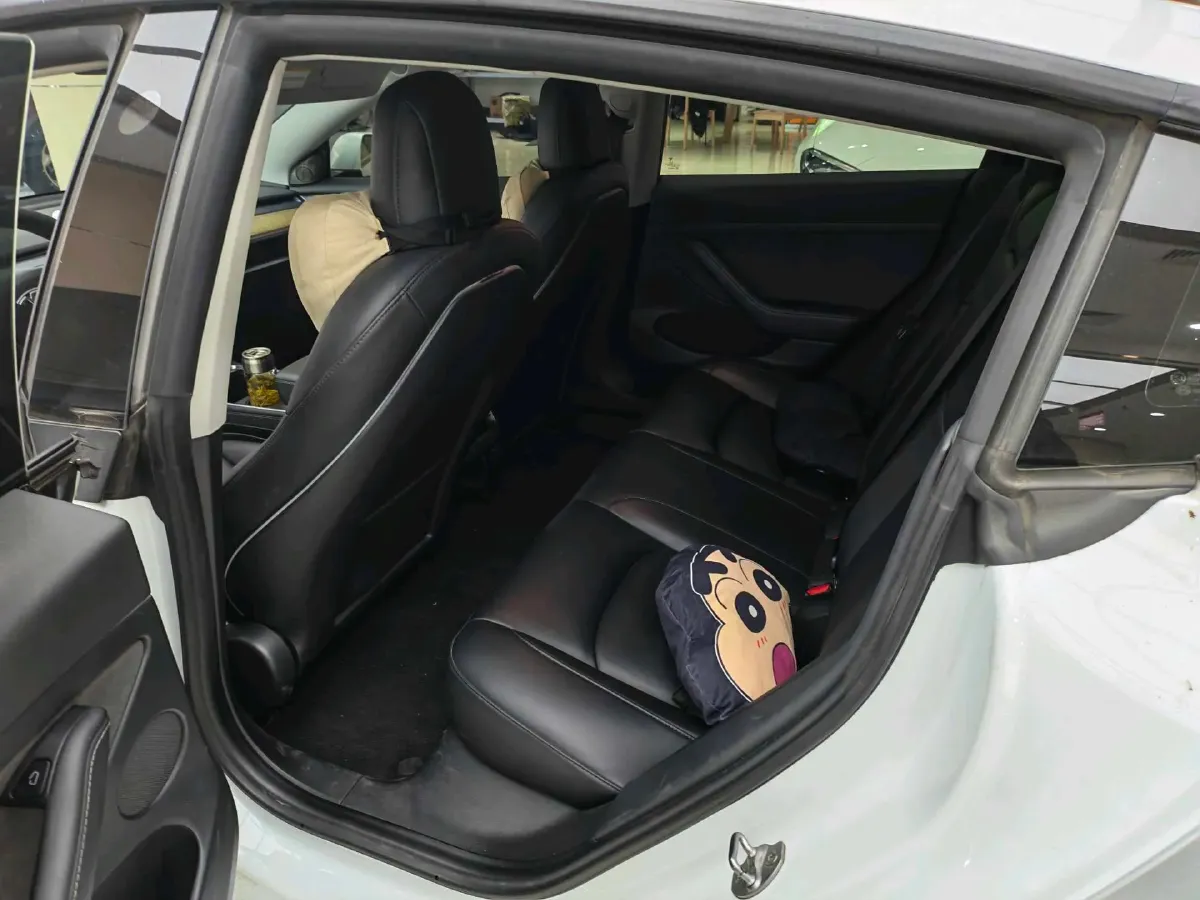 2021 Tesla Model 3 BEV 55KWH,autocango,china used car exporter,china ev exporter,chinese used car exporter,chinese used ev exporter