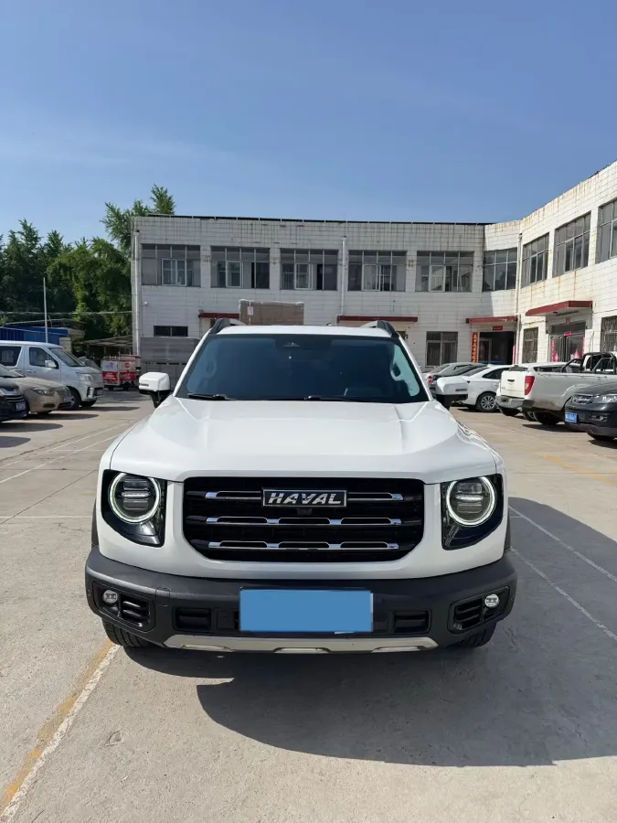 2021 Haval Dargo 2.0T 211HP L4 7DCT,autocango,china used car exporter,china ev exporter,chinese used car exporter,chinese used ev exporter