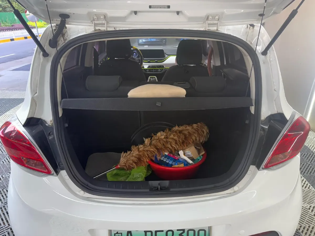 2020 ChangAn BenBen E-Star BEV 32.2KWH,autocango,china used car exporter,china ev exporter,chinese used car exporter,chinese used ev exporter