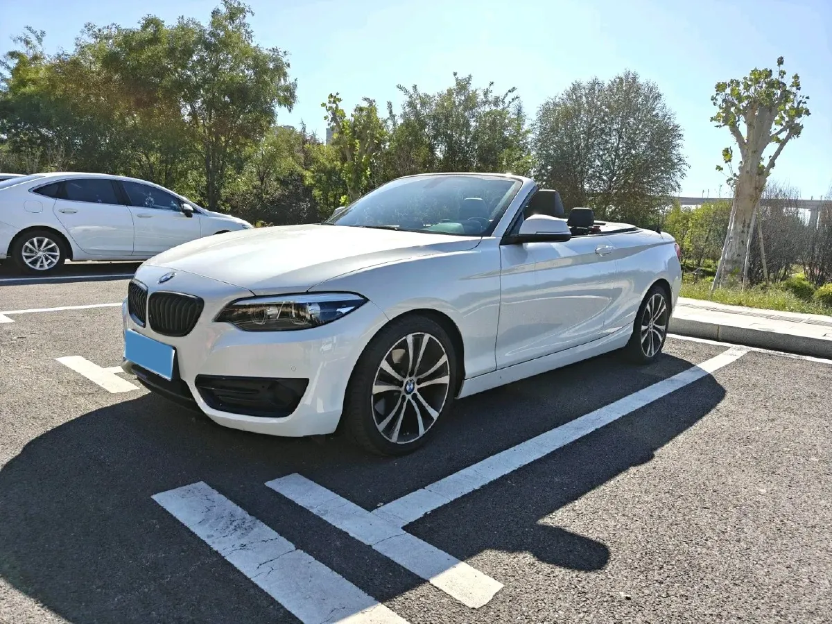 2019 BMW 2 Series 2.0T 184HP L4 8AT,autocango,china used car exporter,china ev exporter,chinese used car exporter,chinese used ev exporter