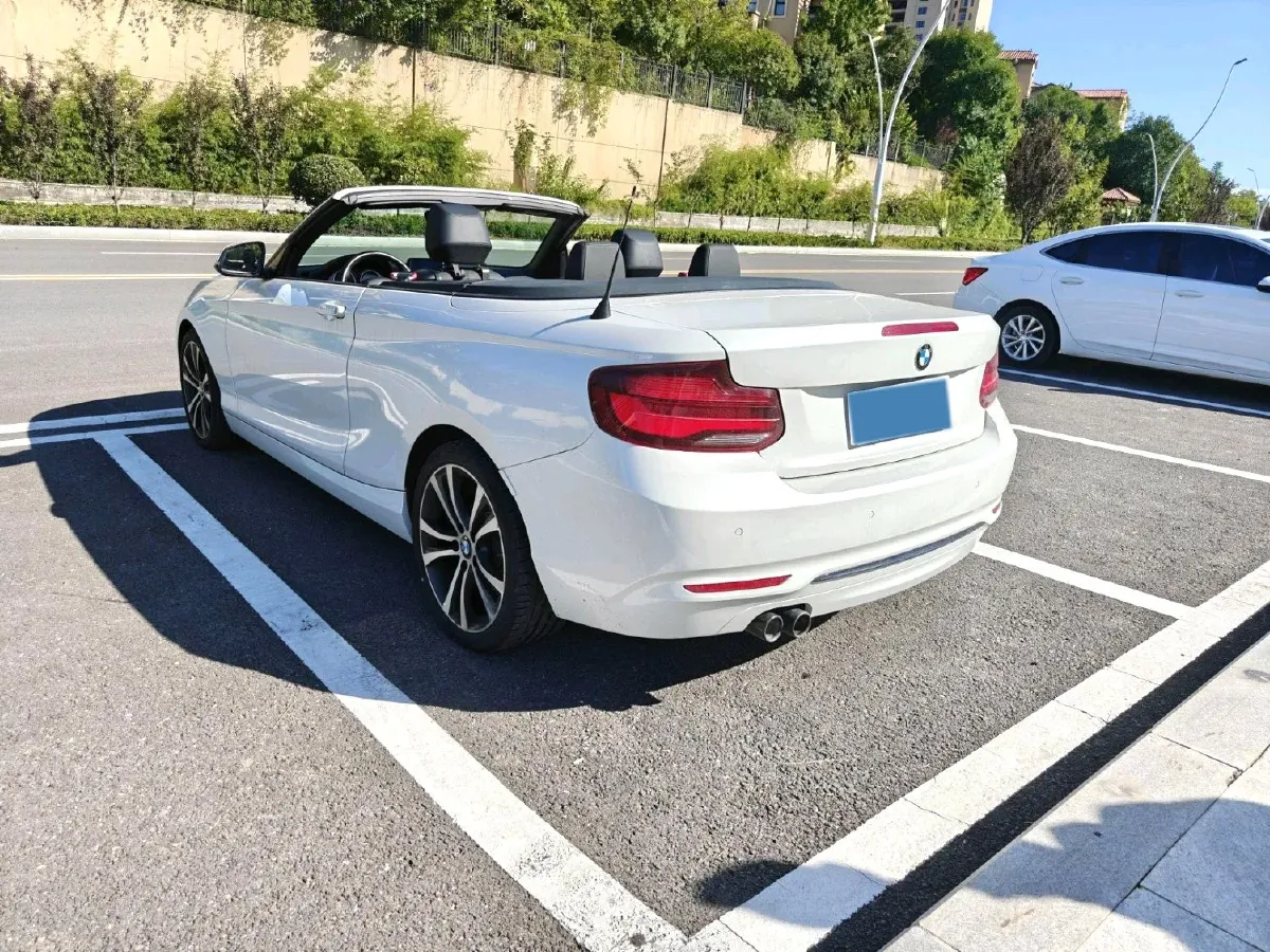 2019 BMW 2 Series 2.0T 184HP L4 8AT,autocango,china used car exporter,china ev exporter,chinese used car exporter,chinese used ev exporter