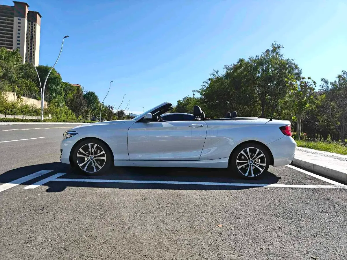 2019 BMW 2 Series 2.0T 184HP L4 8AT,autocango,china used car exporter,china ev exporter,chinese used car exporter,chinese used ev exporter