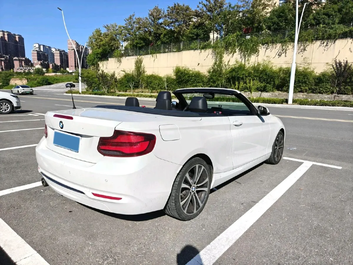 2019 BMW 2 Series 2.0T 184HP L4 8AT,autocango,china used car exporter,china ev exporter,chinese used car exporter,chinese used ev exporter