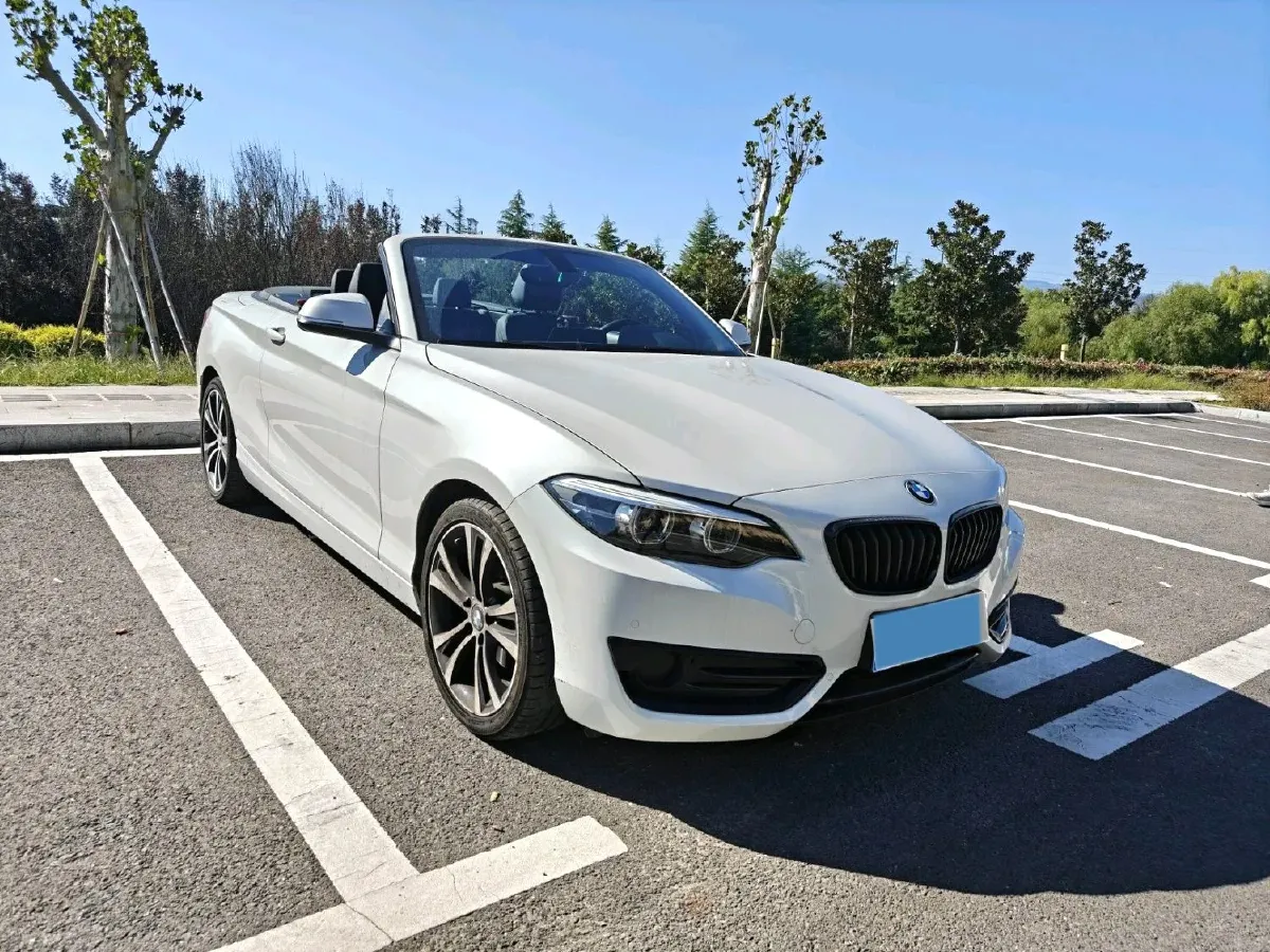 2019 BMW 2 Series 2.0T 184HP L4 8AT,autocango,china used car exporter,china ev exporter,chinese used car exporter,chinese used ev exporter